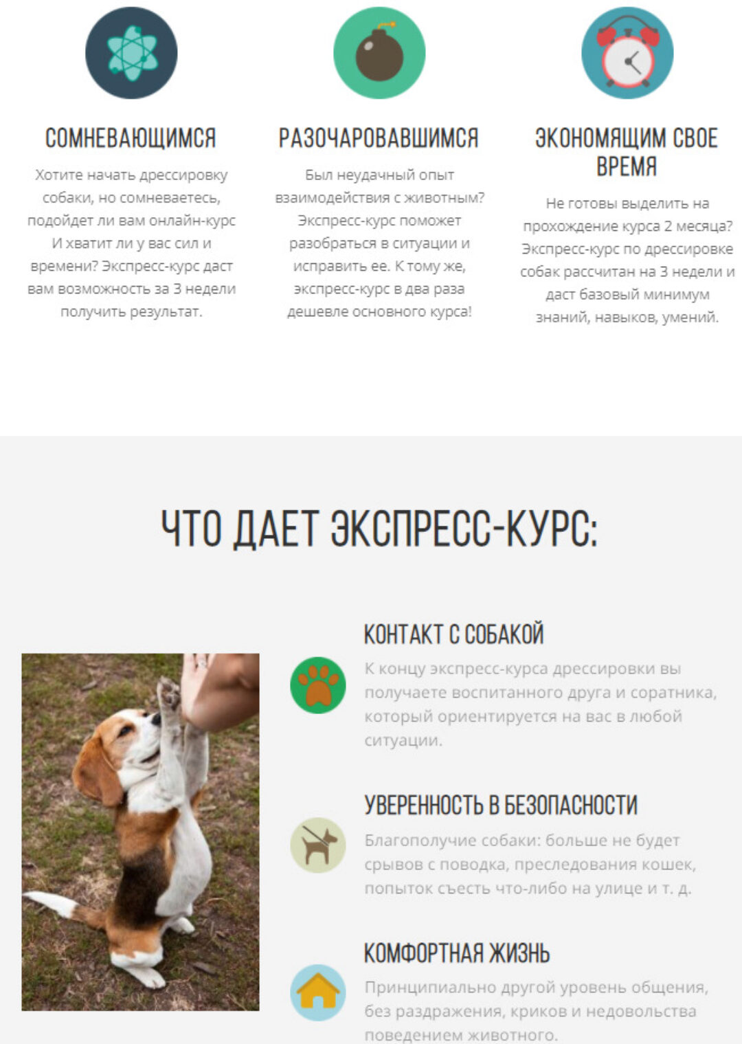 [kinologschool] Воспитанная собака за 3 недели (Антонина Зимарева)