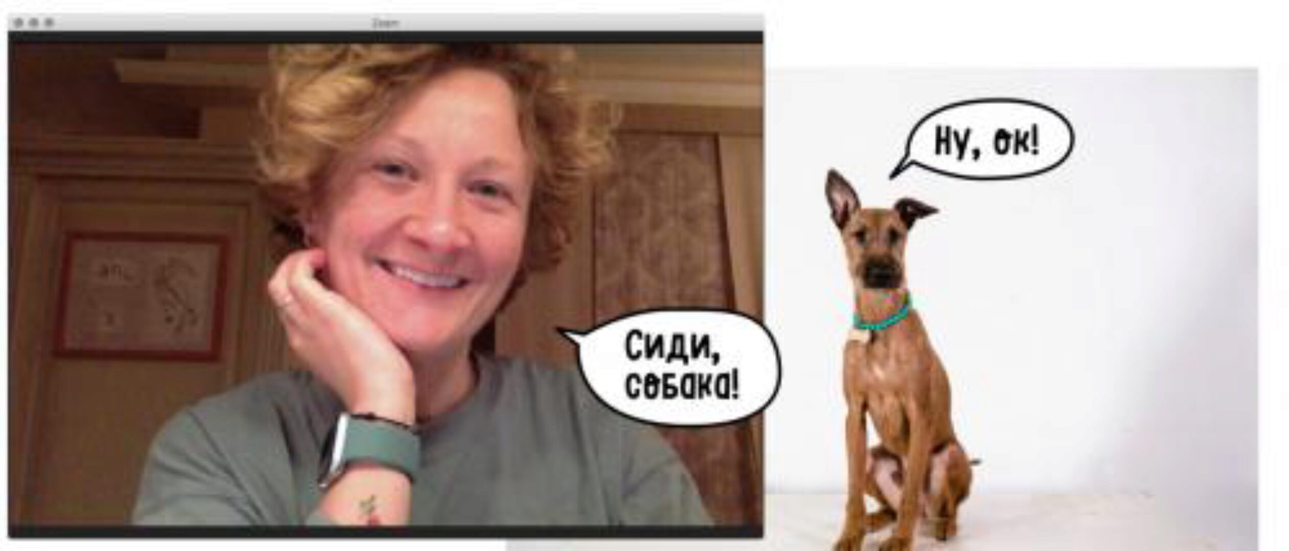 [Pi-Bo] Прикладная дрессировка. Минимальный (Надя Пигарева, Оксана Тюльпинова)