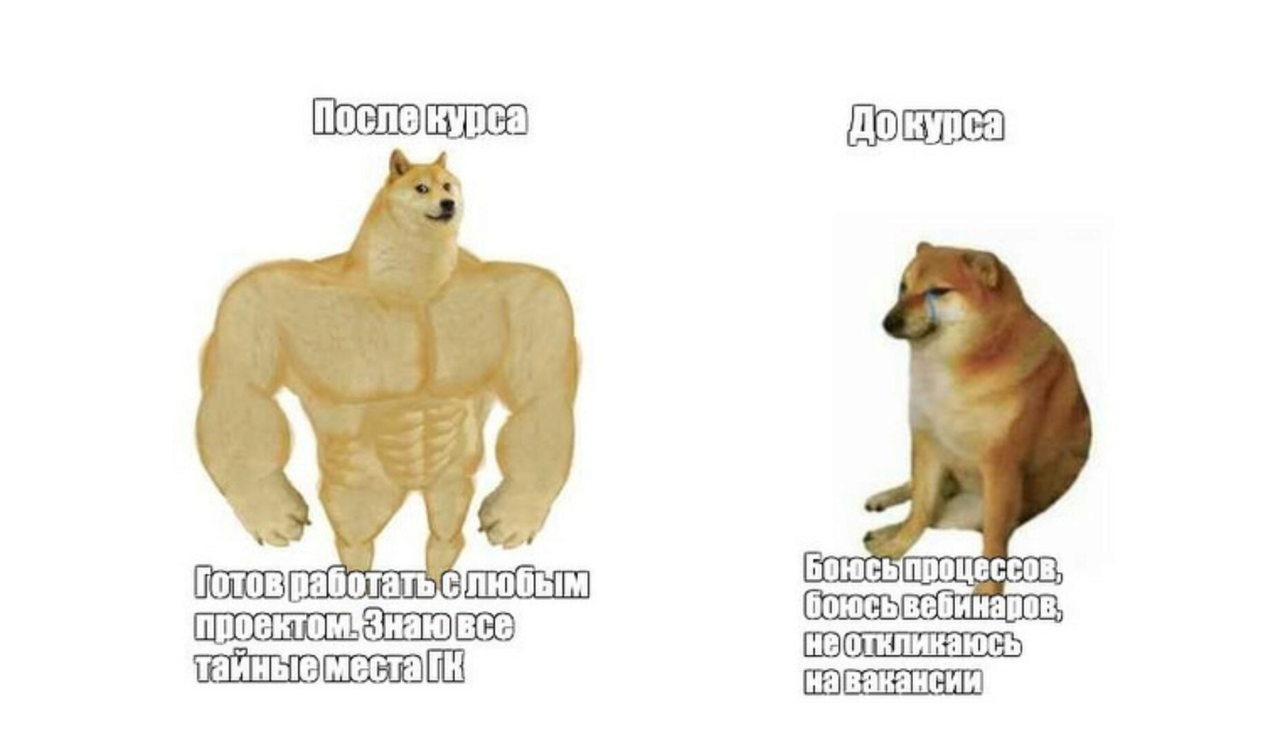 Геткурс: от новичка до профи (Екатерина Штук)