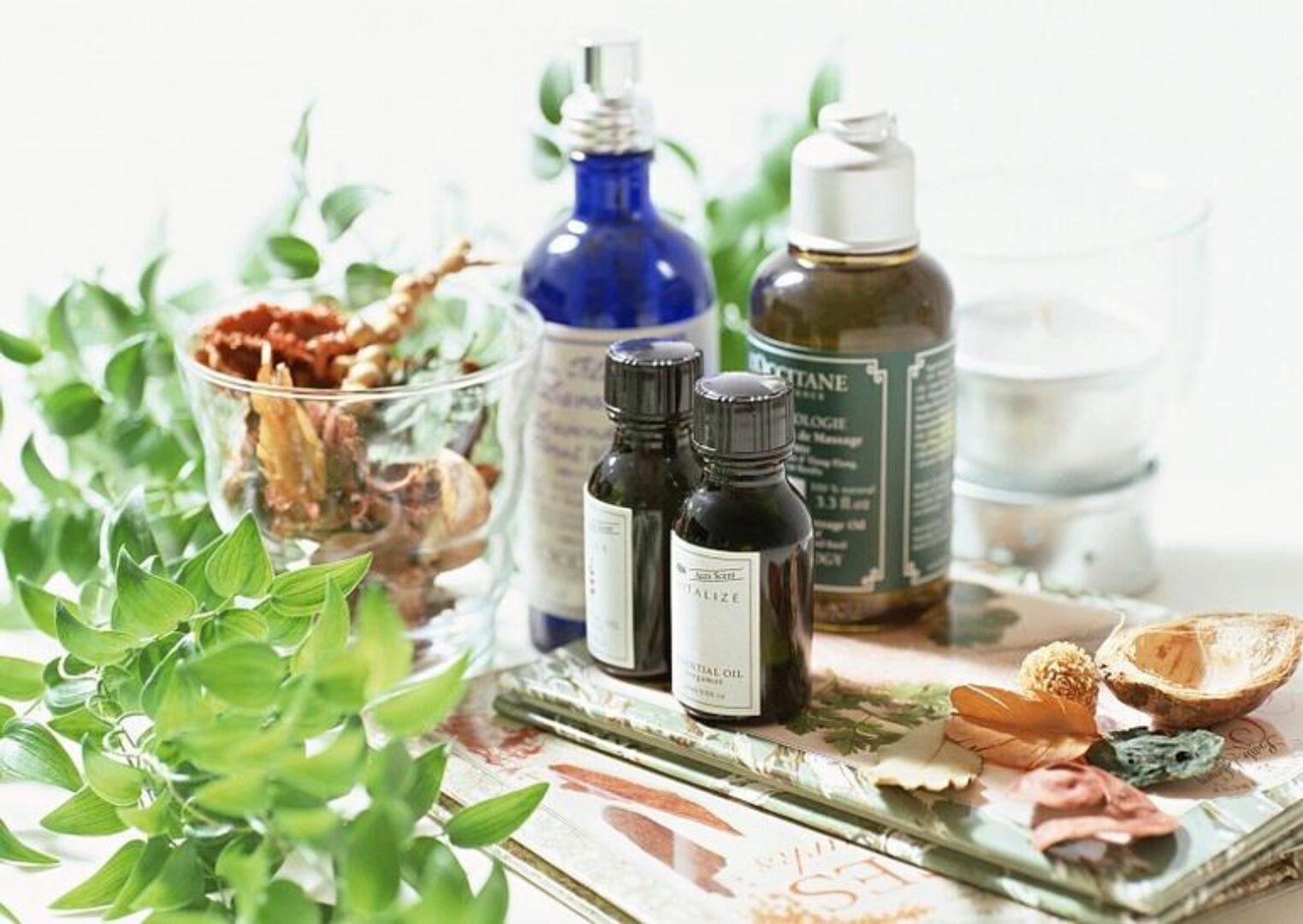 Рождение ароматерапевта или введение в Клиническую ароматерапию. 4 блок (Александра Кожевникова)