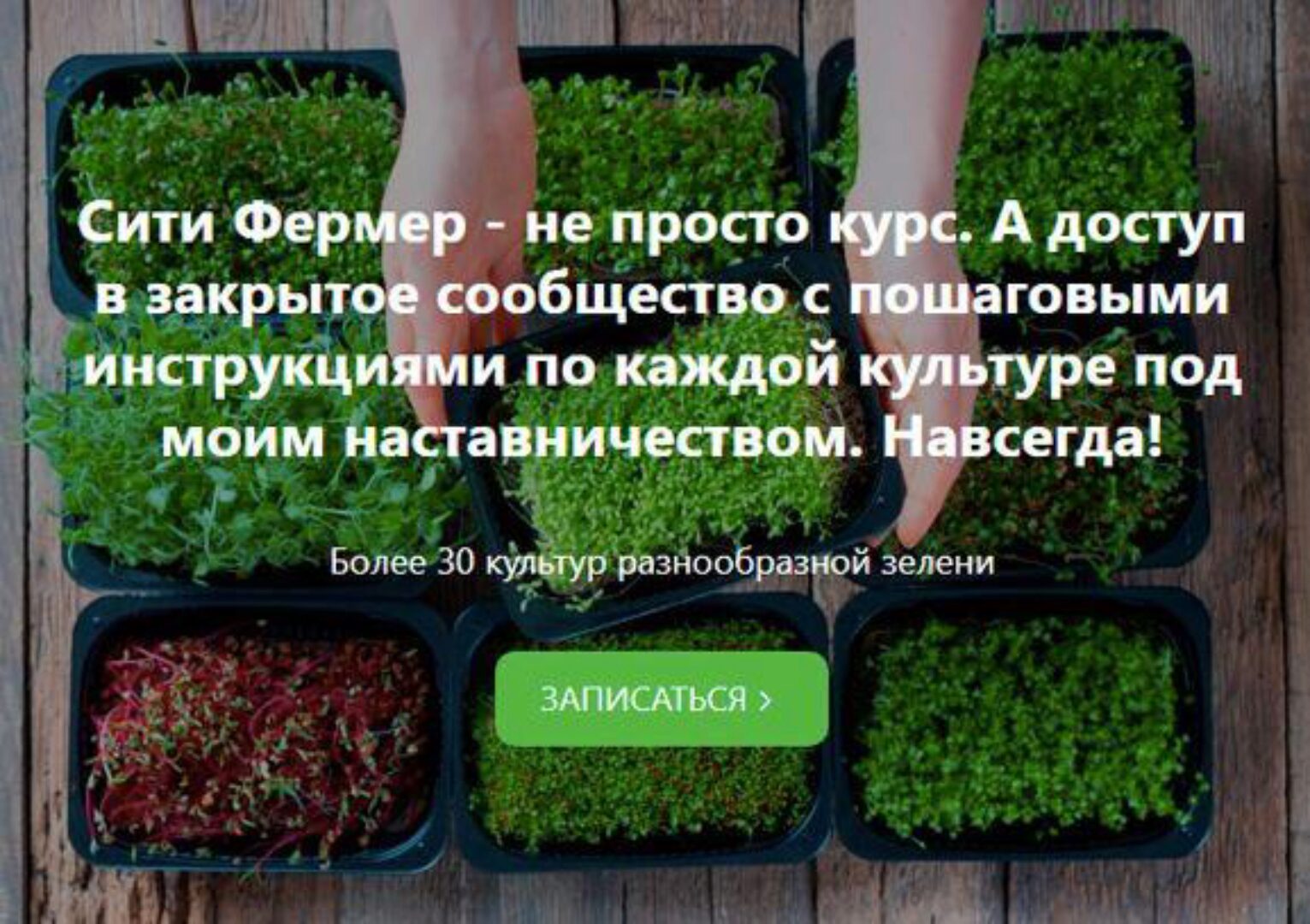 Сити Фермер: Свежая микрозелень у вас дома за одну неделю (Михаил Попов)