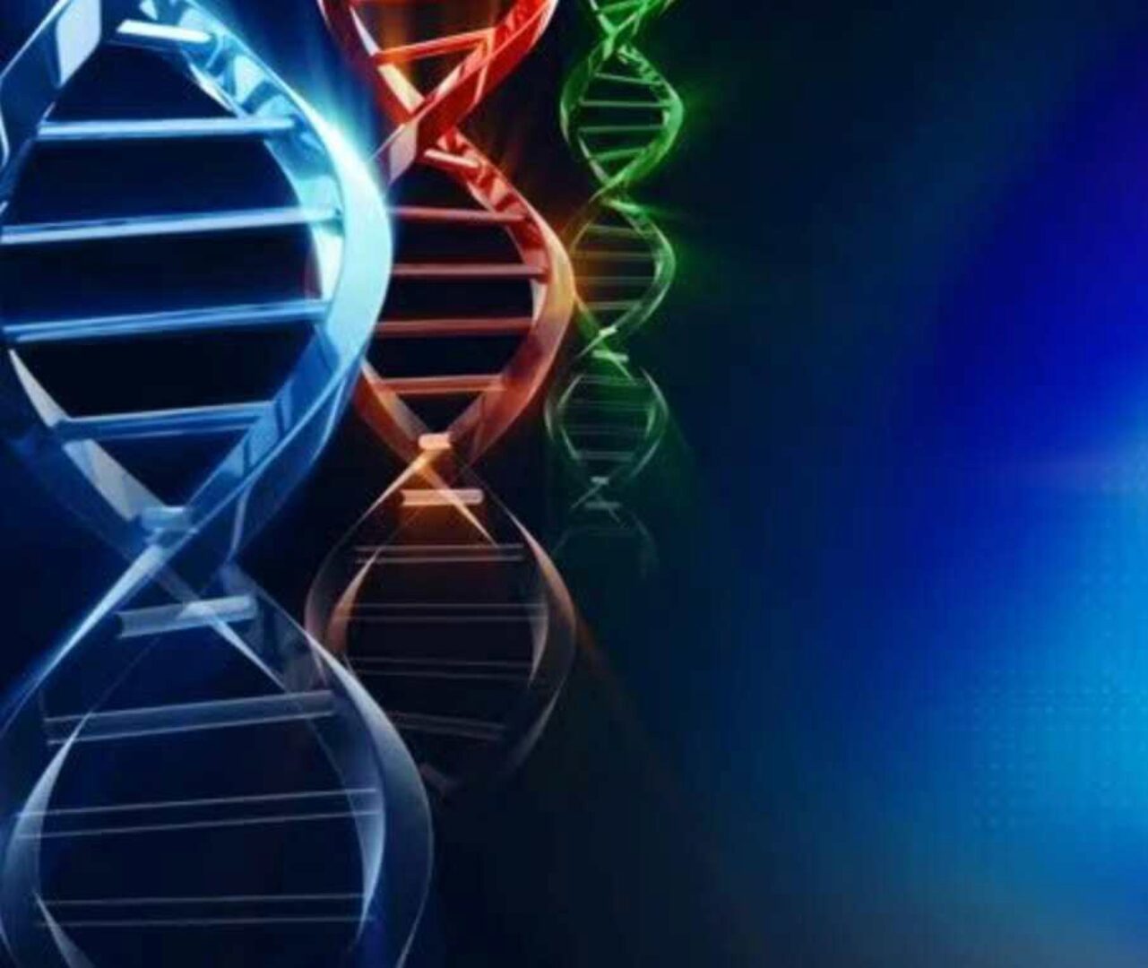 [Sigh Energy]  Активация  12, 24  и  36  нитей  ДНК