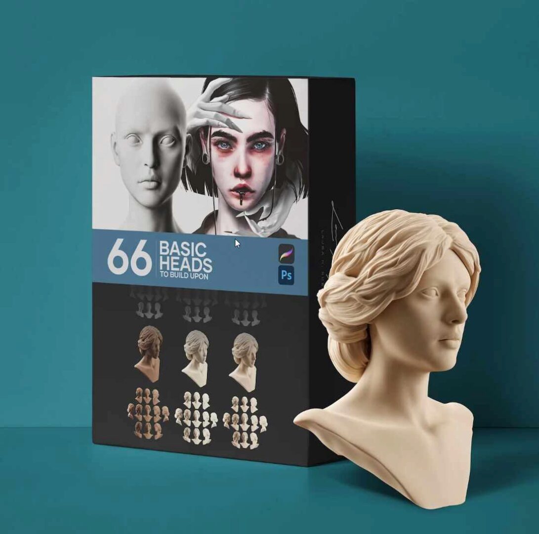 [gumroad] Коллекция базовых изображений головы для портретных рисунков / Basic heads to build upon for Procreate & Photoshop (Laura H. Rubin)