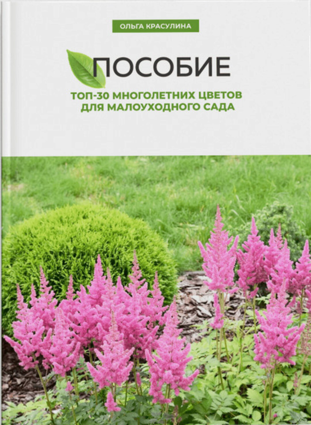 Топ-30 многолетних цветов для малоуходного сада (Ольга Красулина)