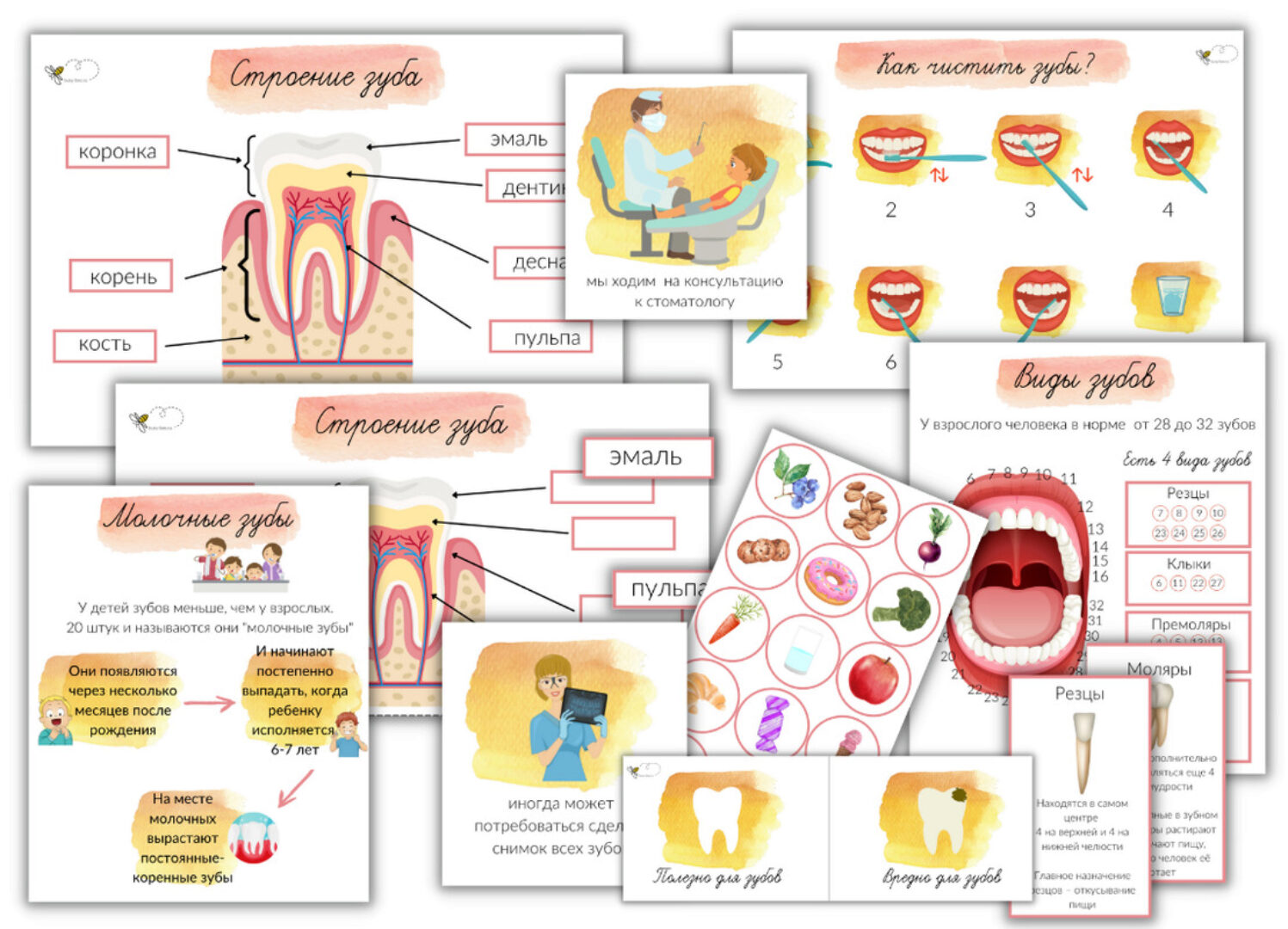[busy-bee] Зубы (Елена Самсонова)