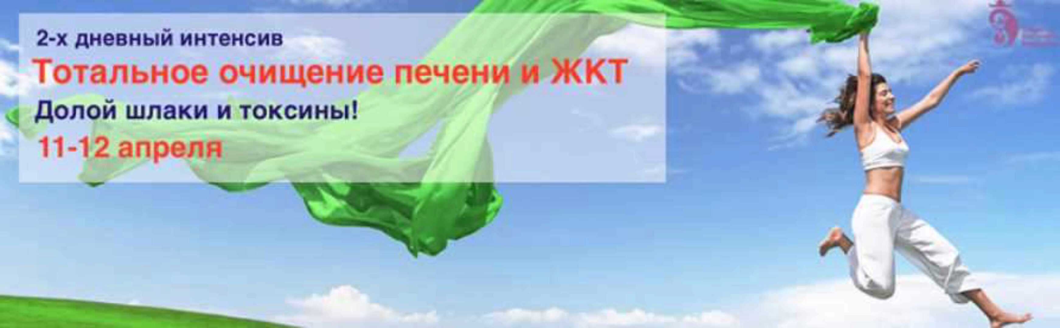 Тотальное очищение печени и ЖКТ. Вип (Владимир Осипов)