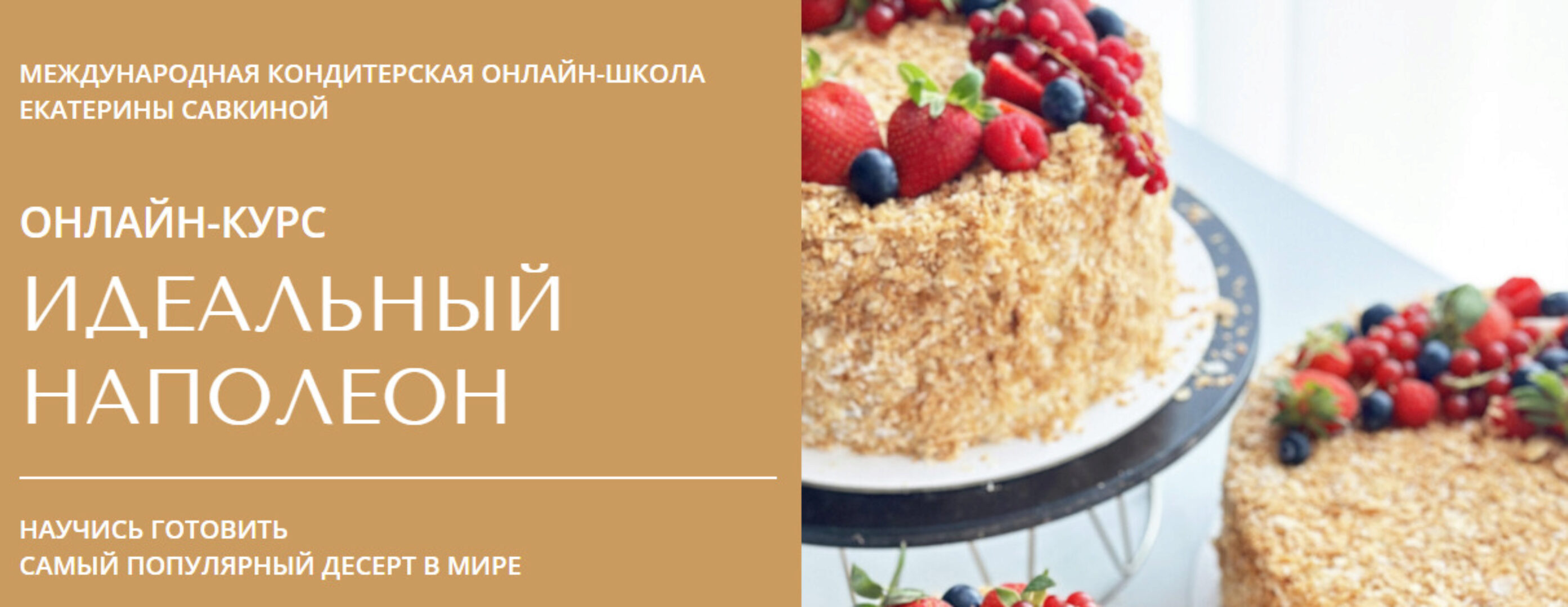 [savkina_ek] Идеальный Наполеон (Екатерина Савкина)