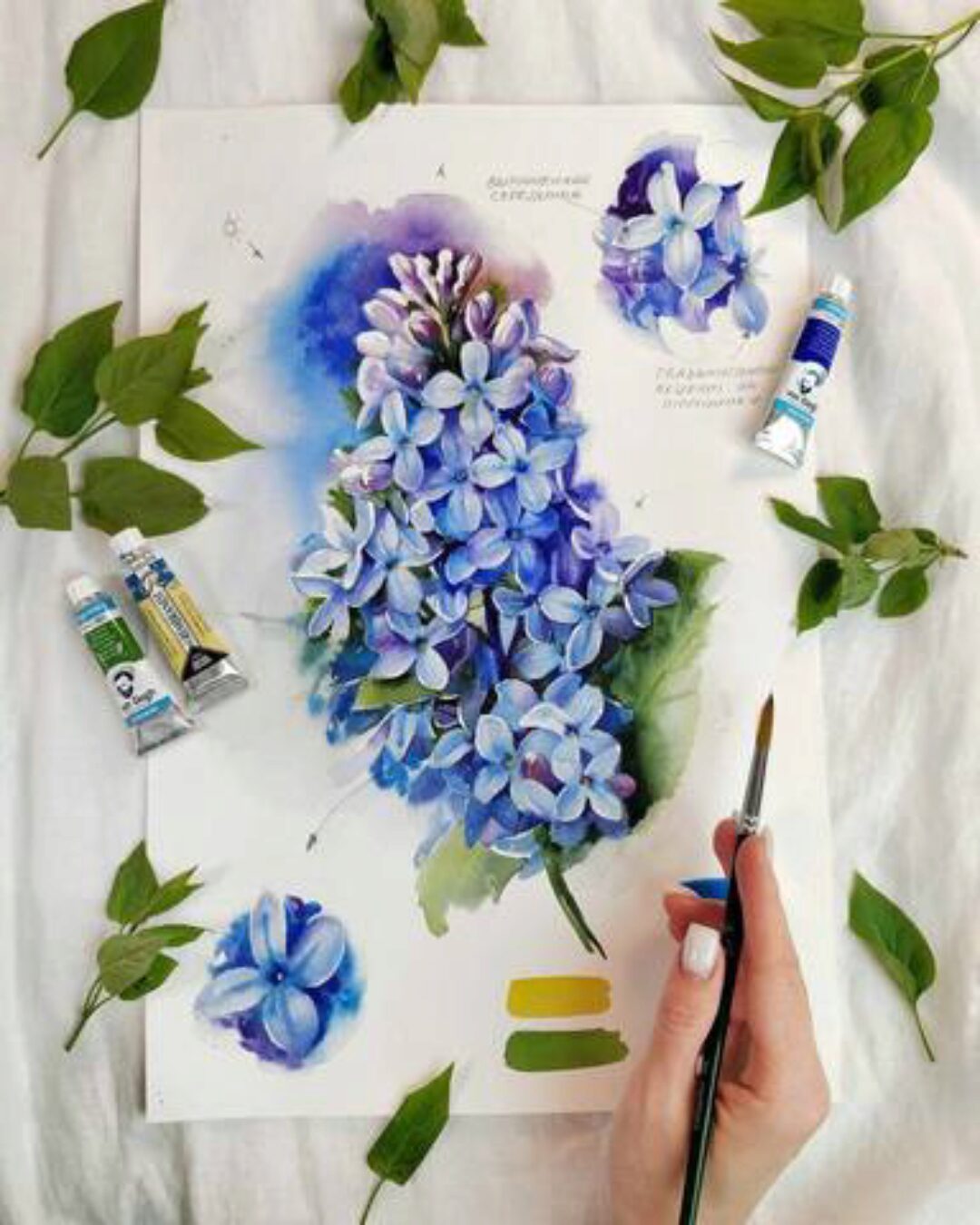 [draw team] Сирень (Евгения Щеглова)