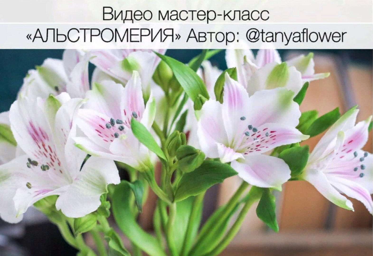 Альстромерия из холодного фарфора (tanyaflower)