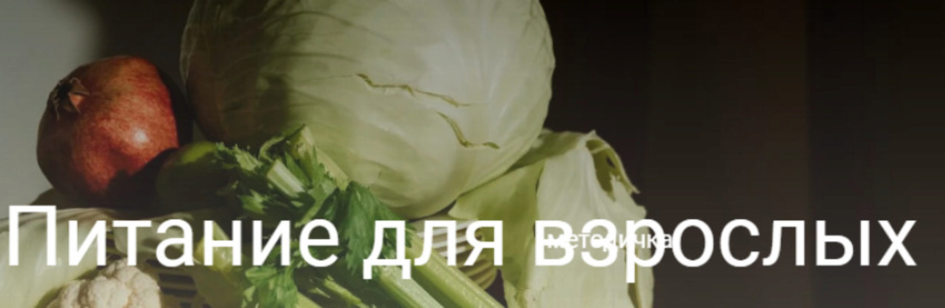 Питание для взрослых (Валентина Жукова)