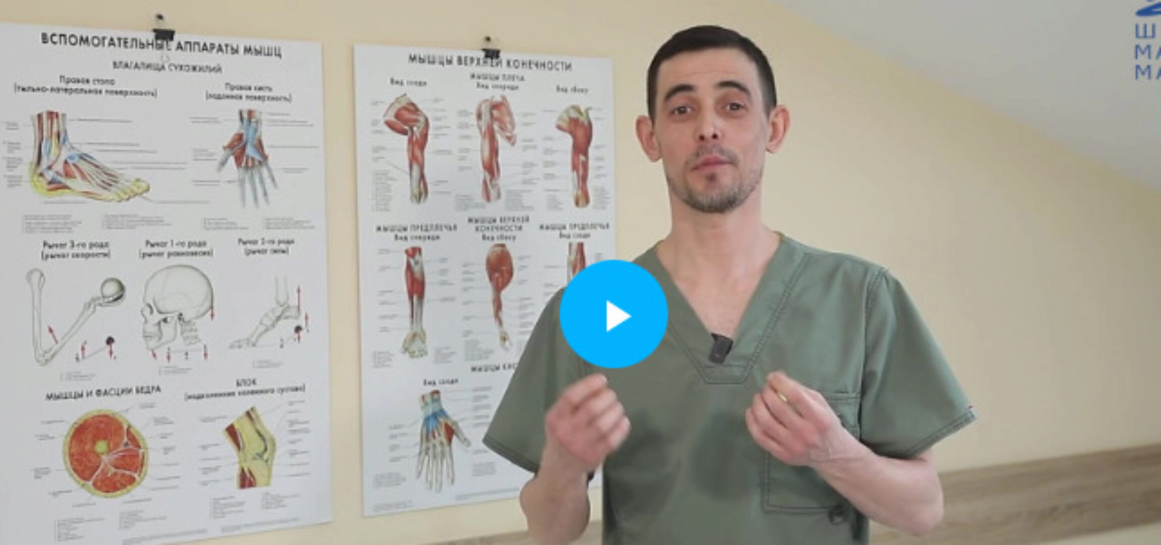 [Школа Мастеров Массажа] Нейродинамика опорно-двигательного аппарата (Руслан Масгутов)