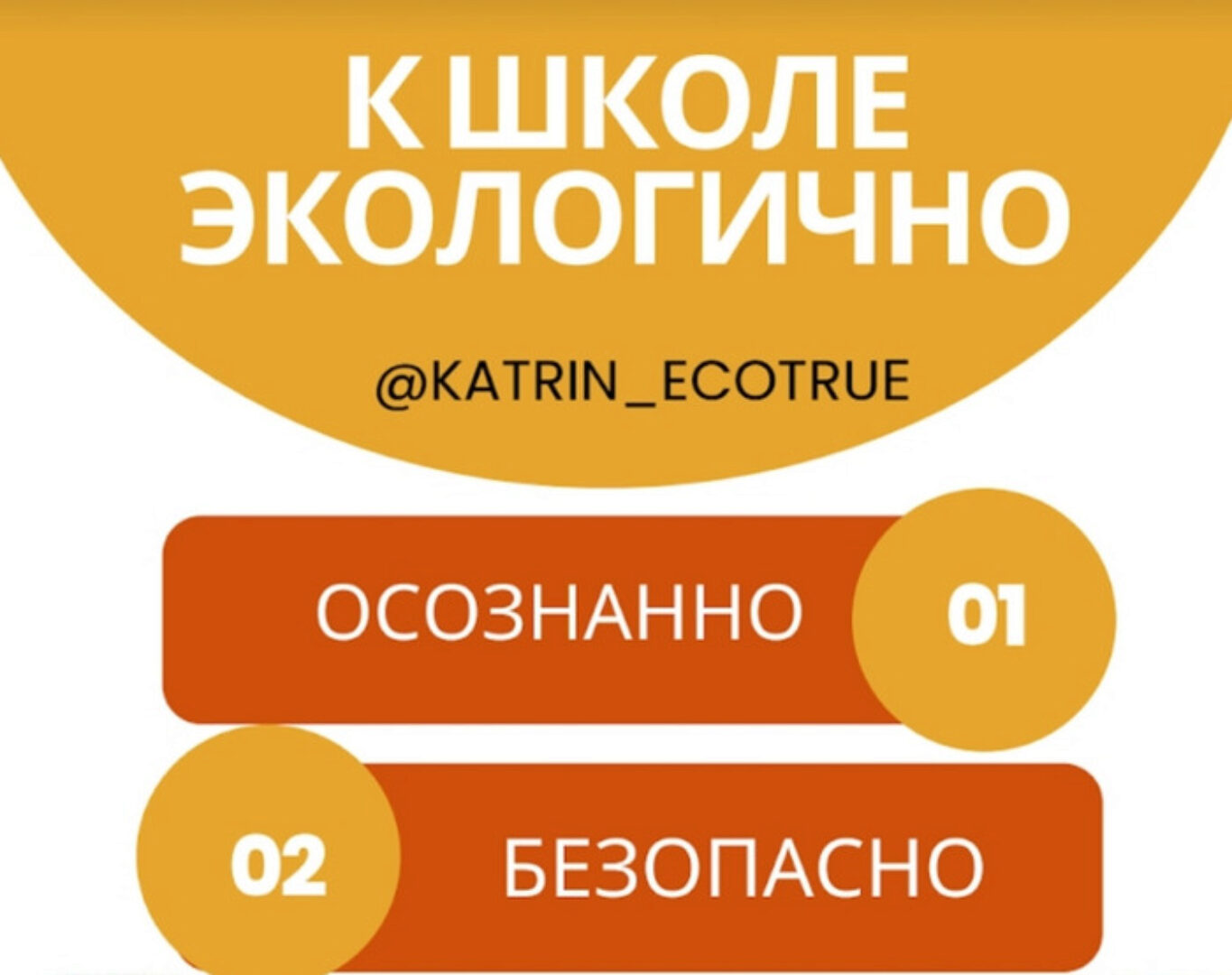 [katrin_ecotrue] К школе экологично (Екатерина Кудерцева)