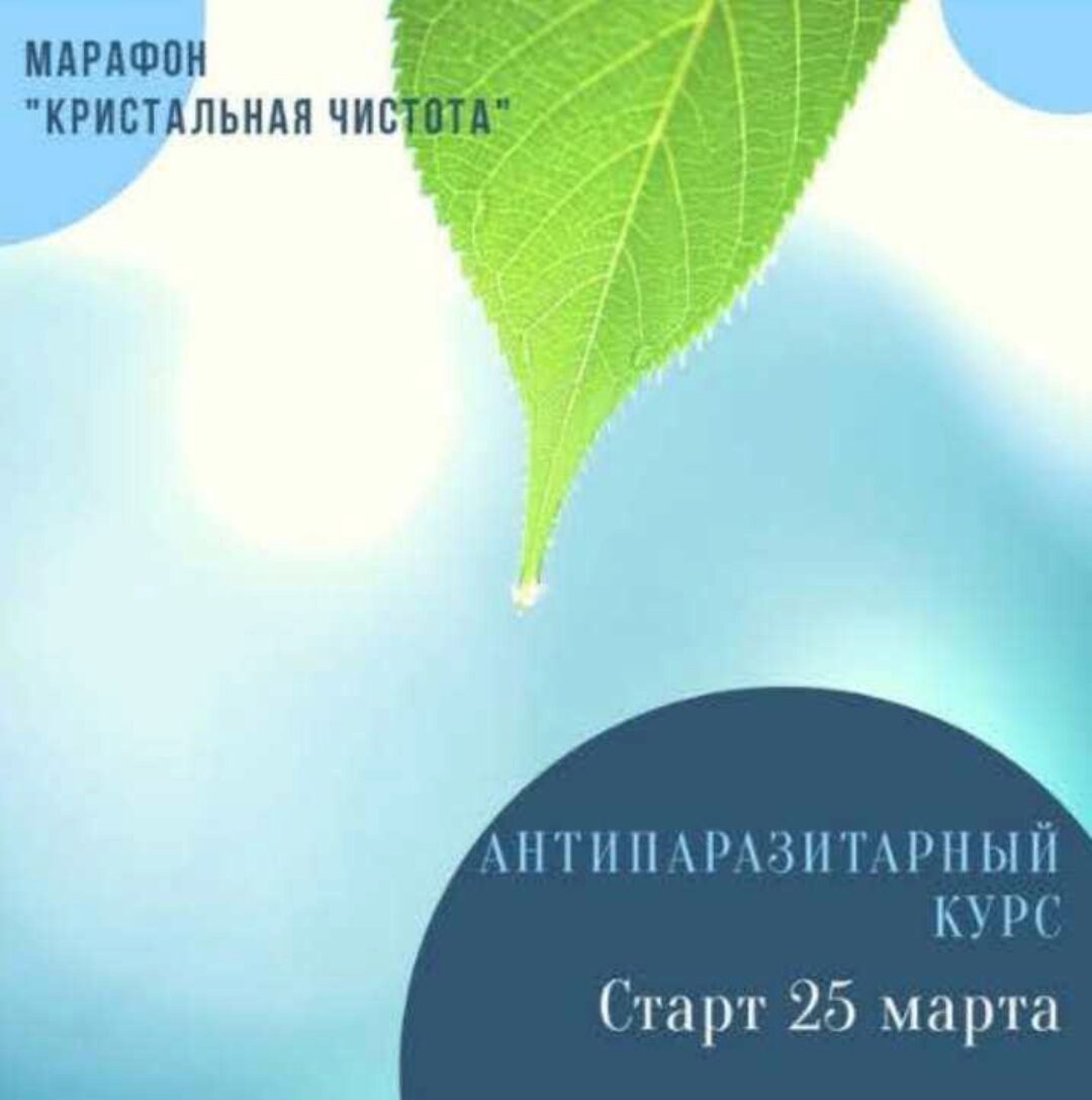 Антипаразитарная чистка Кристальная Чистота (Алёна Масленникова, Иванова Юлия)