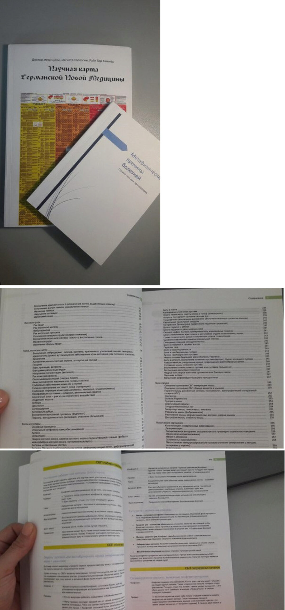 Метафизические причины болезней (Райк Хаммер)