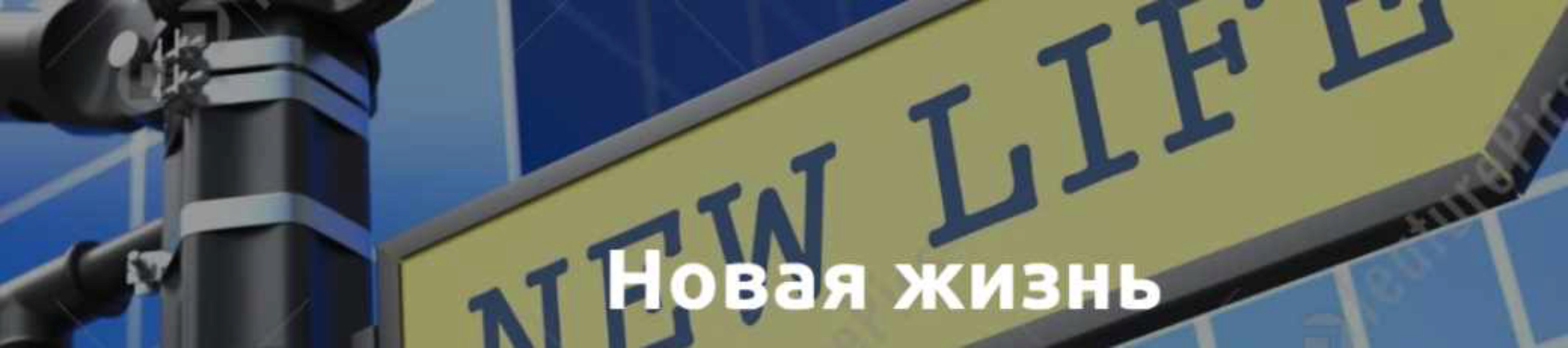 Новая жизнь (Лилия Король)