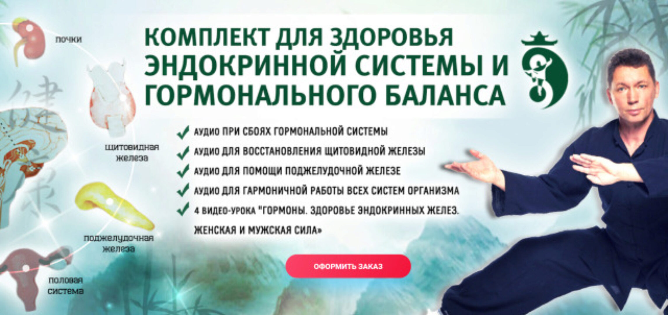 Цигун для здоровья эндокринной системы (Владимир Осипов)