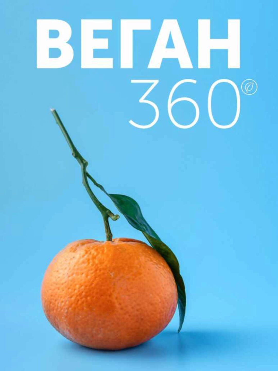 Веган 360 (Настя Лисица)