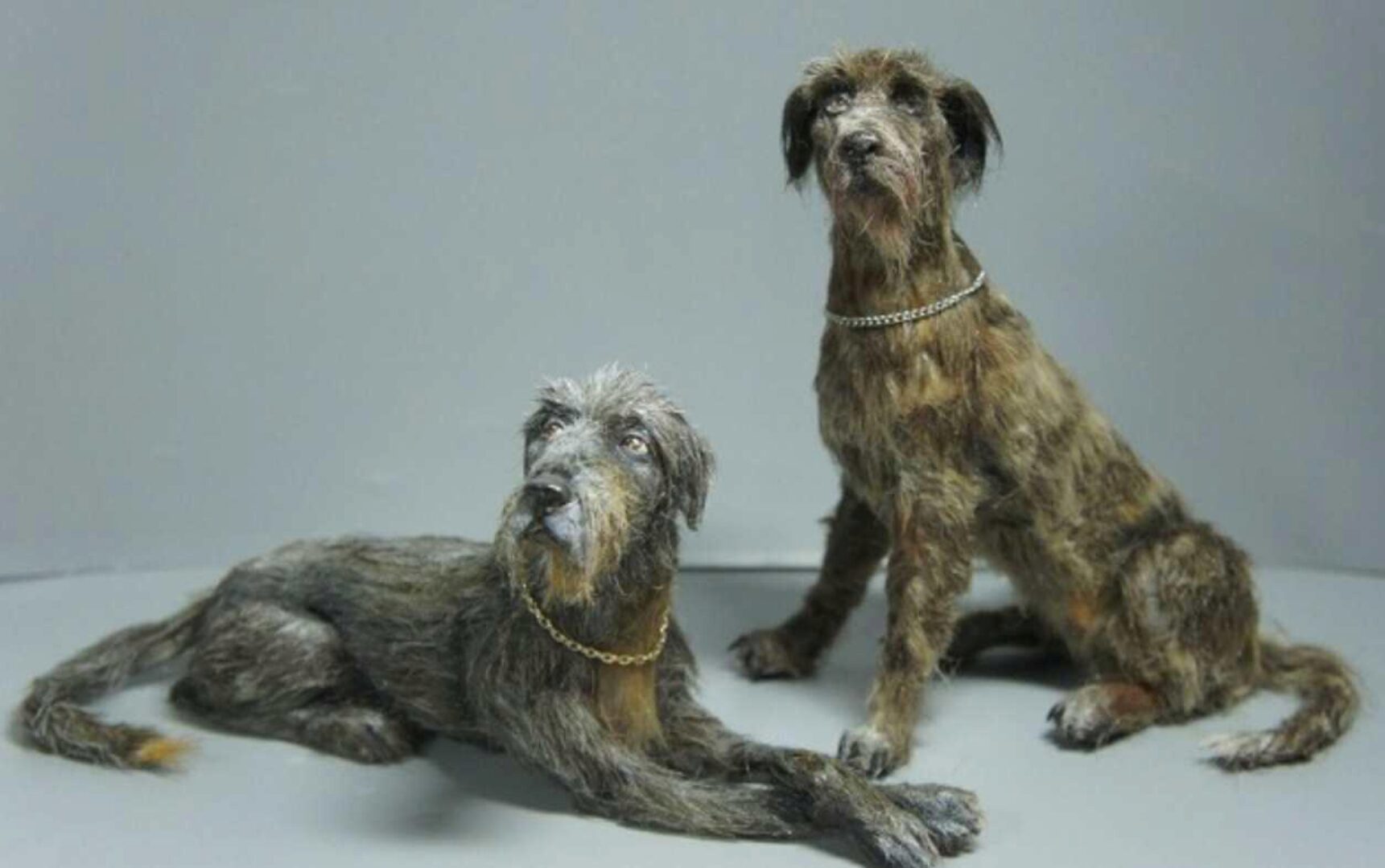 Лучший друг куклы: Ирландский волкодав (Наталья Филинова)