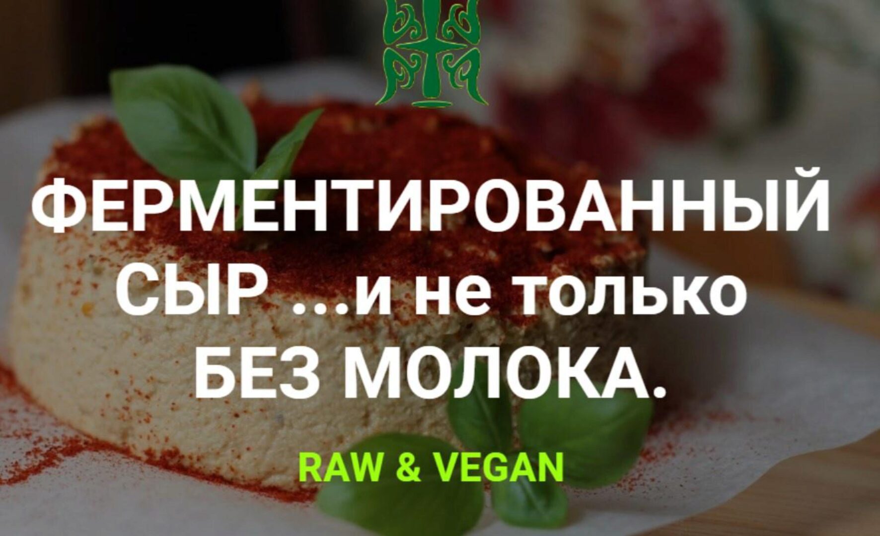 Ферментированный веган сыр (Татьяна Жданова)