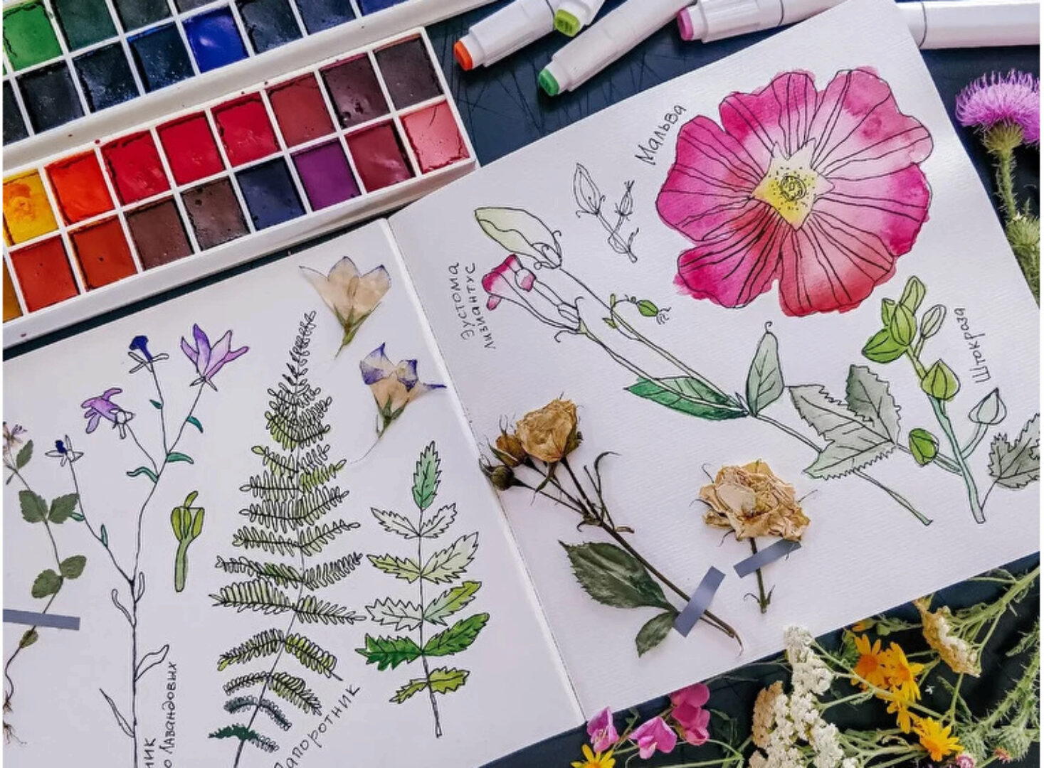 [hurlyburlyschool] Скетчинг для детей 8+ (Оля и Даша Сафоновы)