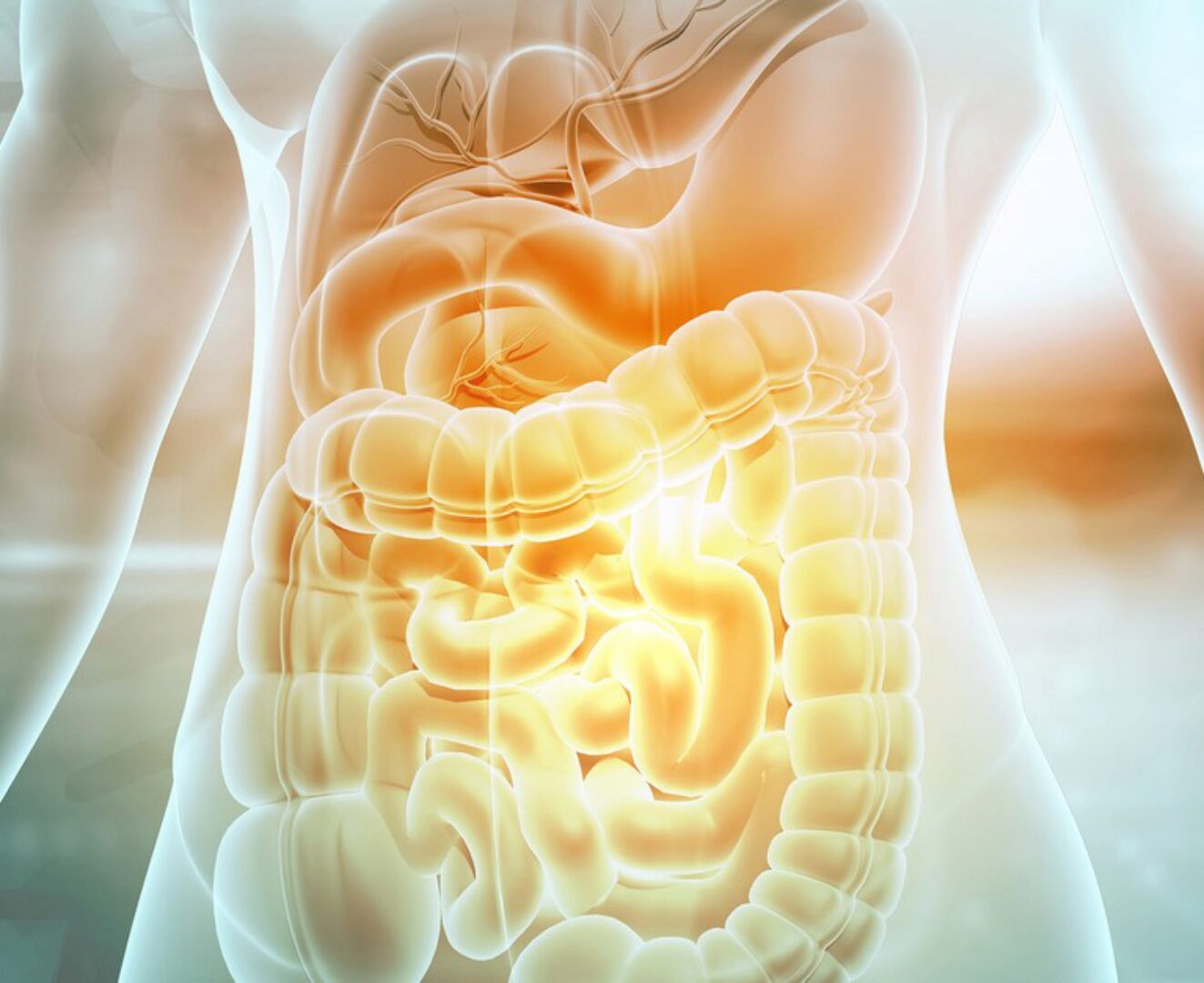 [Fantel] Расшифровка медицинских анализов. Восстановление желудочно-кишечного тракта (Антон Поляков)