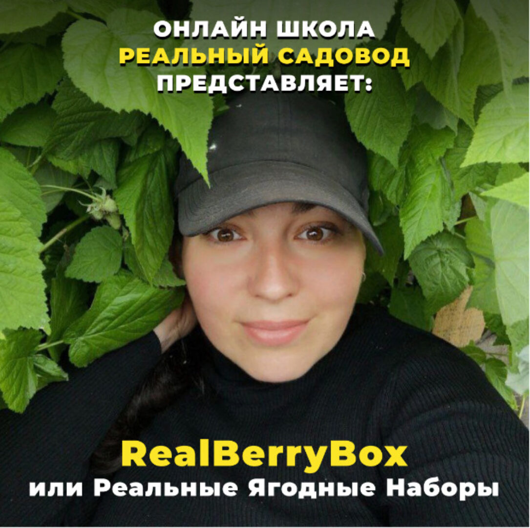 RealBerryBox. Плодись и размножайся (Татьяна Холомьева)