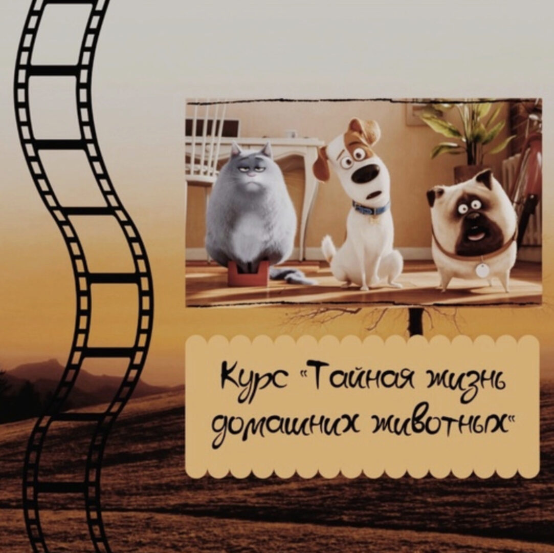 [evgeniya_english_school] Курс по мультфильму Тайная жизнь домашних животных (Евгения Сушкова)
