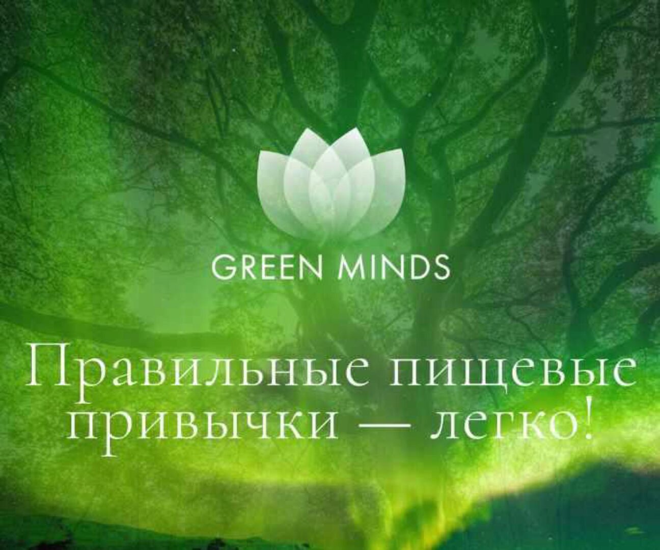 Нейромедитация Green Minds Правильные пищевые привычки — легко (Алексей Ситников)