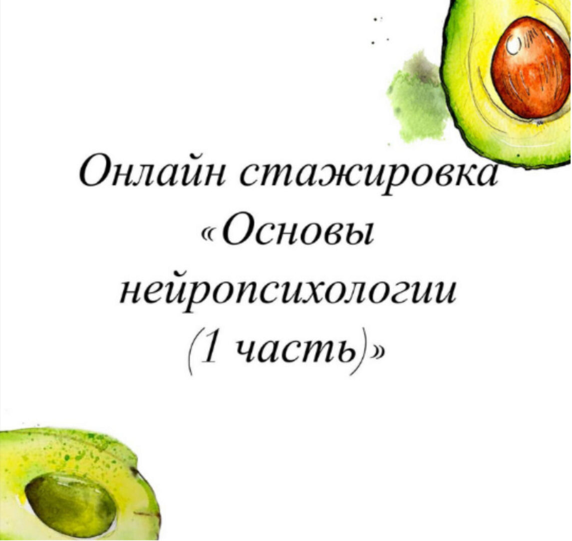 [lesya_logoped] Онлайн стажировка. Основы нейропсихологии. 1 часть (Олеся Тарасова)