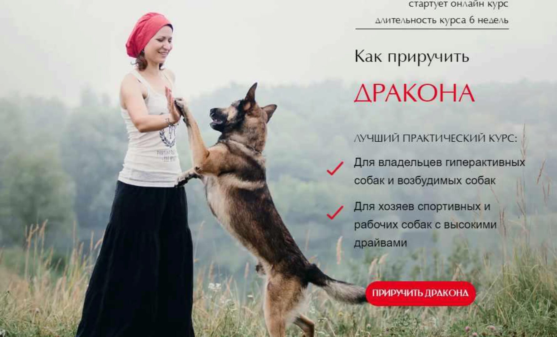 [Школа бесконфликтной дрессировки] Как приручить Дракона. Тариф Все сам (Ульяна Мальцева)