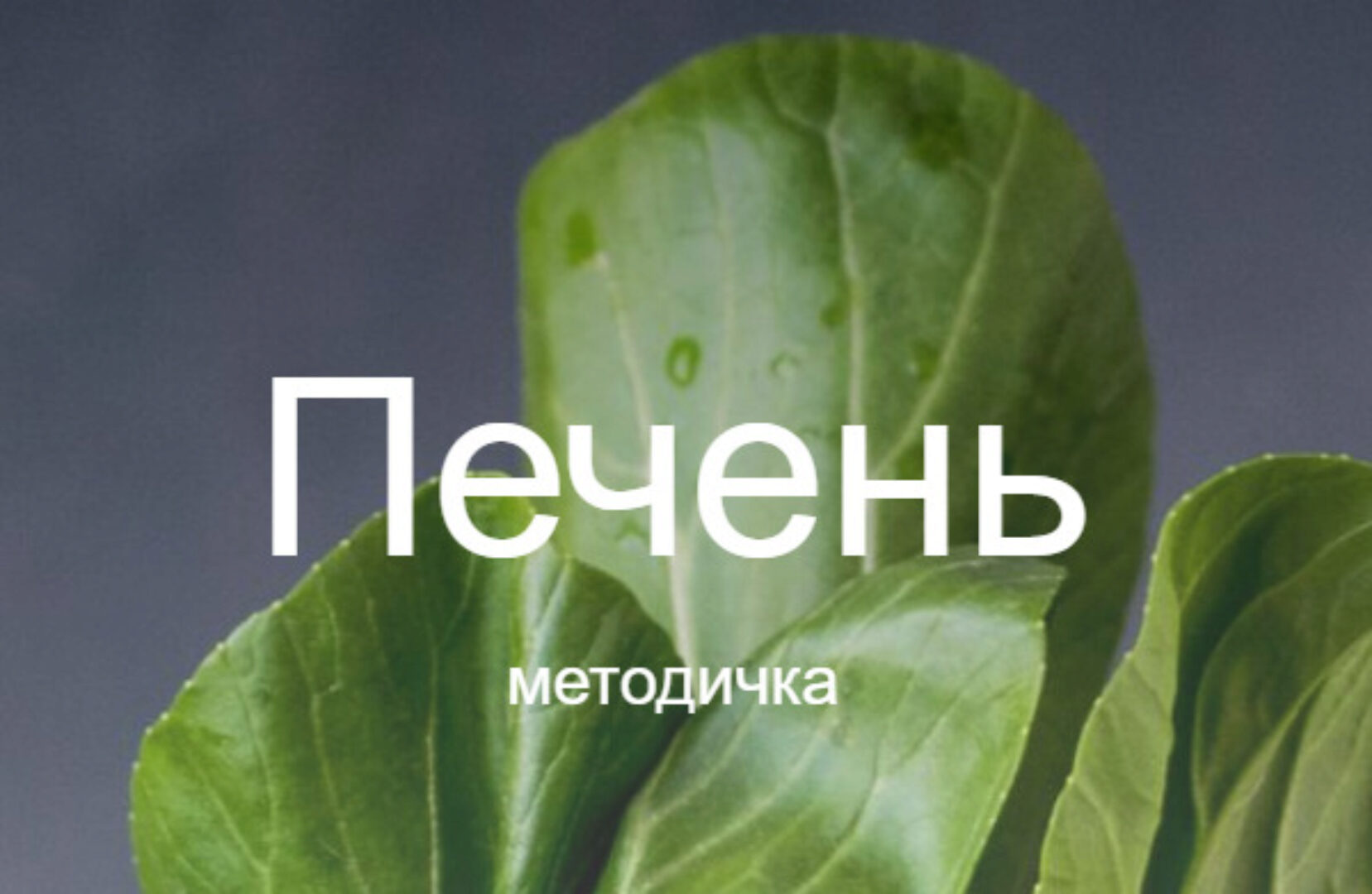 Методичка печень (Валентина Жукова)