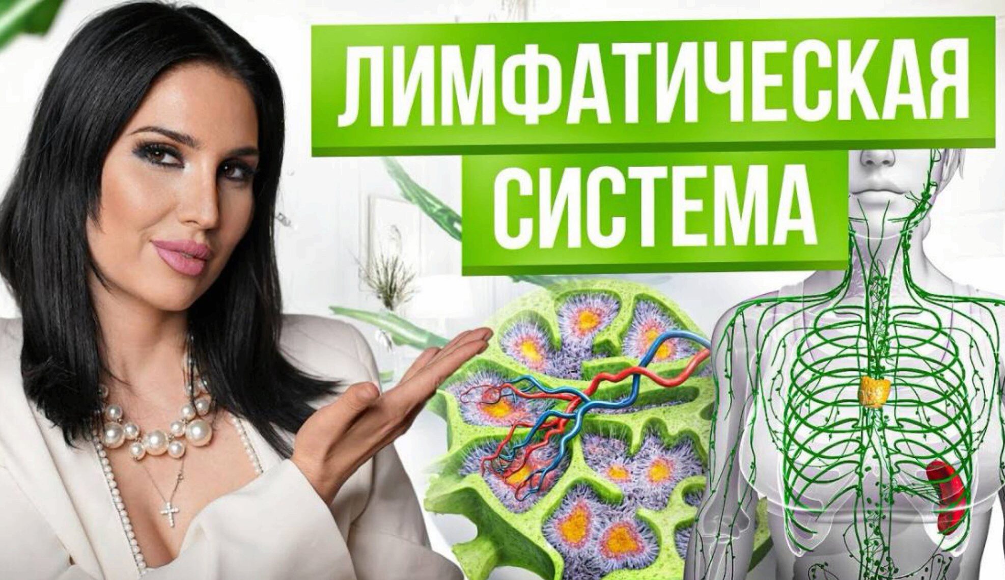 [cardiodok] Лимфа. Тариф Простой (Виктория Орлинская)