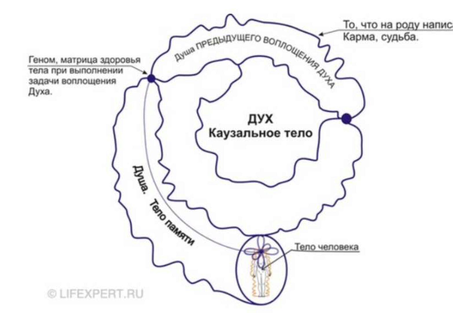 [Lifexpert] Инфокоррекция программ прошлых жизней (Вячеслав Губанов - Дмитрий Губанов)