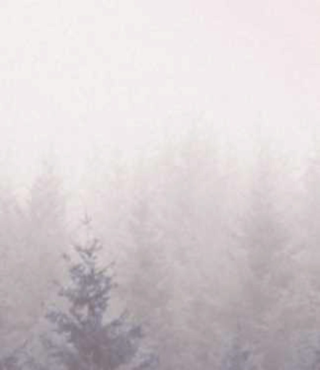 Коррекция опорно-двигательной и висцеральной систем (Юрий Чикуров)