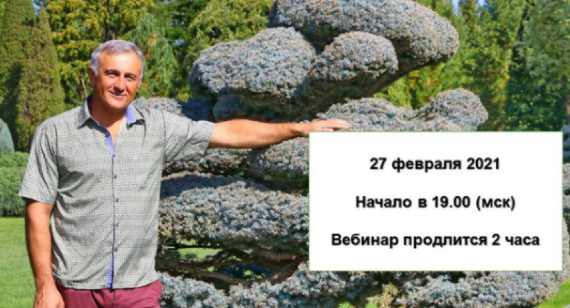 Топиарное искусство (Владимир Ляпчев)