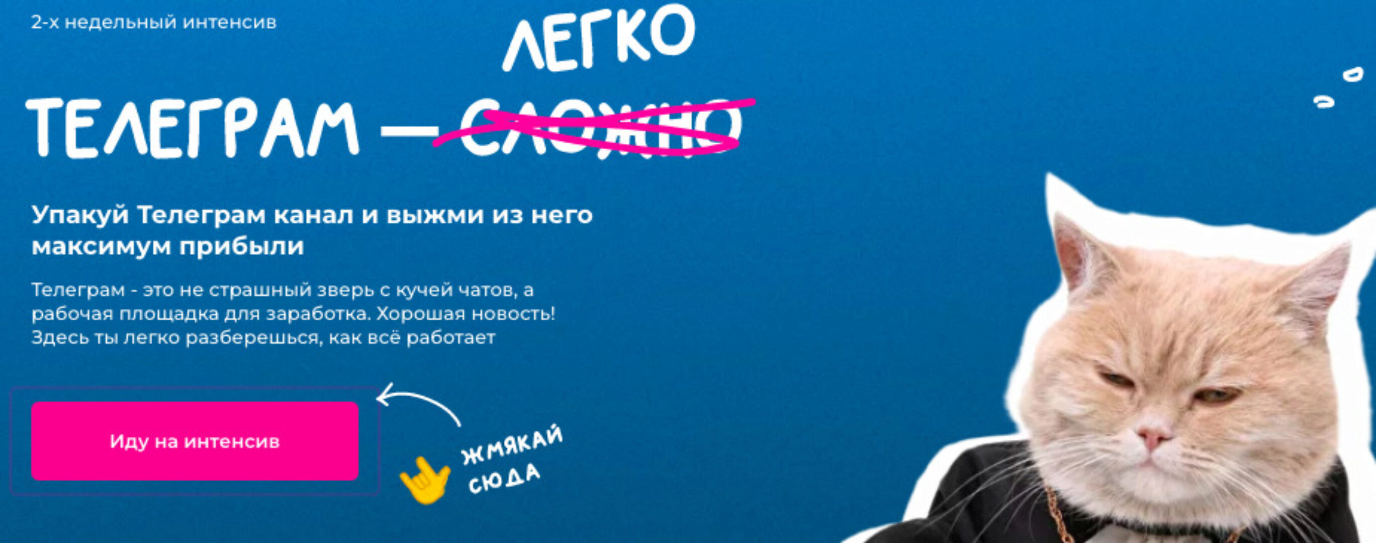 [Тома Т] Телеграм легко. Тариф Котик в телеграм (Тома Саркулова)