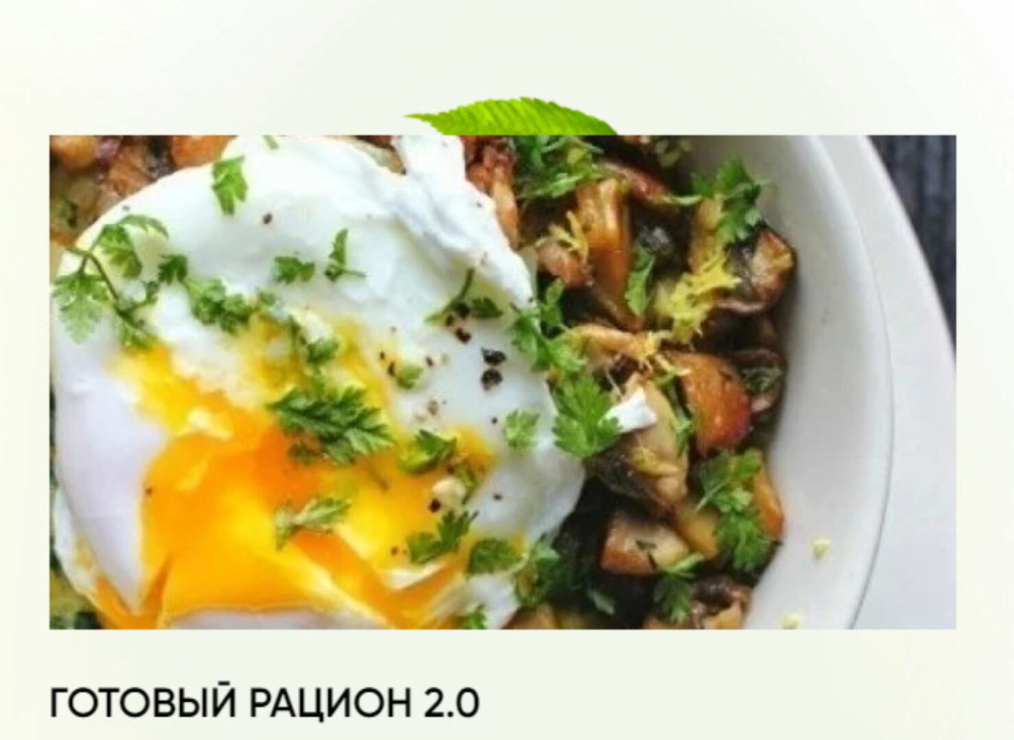 Готовый рацион 2.0 - 1500 Ккал на 30 дней (Анастасия Кудрявцева)