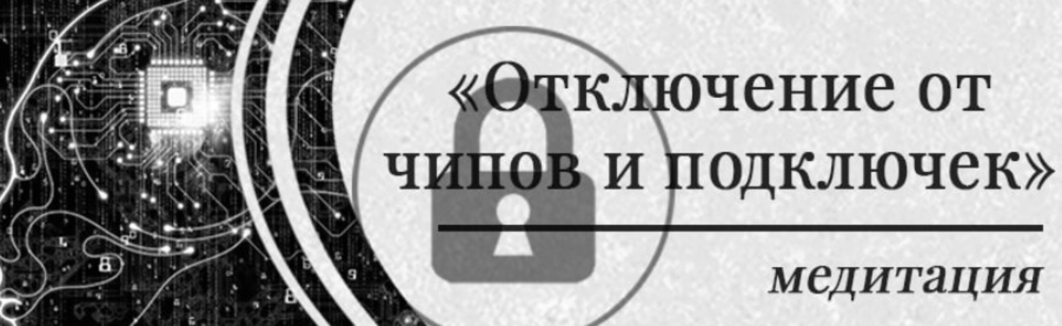 Медитация Отключение от чипов и подключек  (Мария Шлоен)