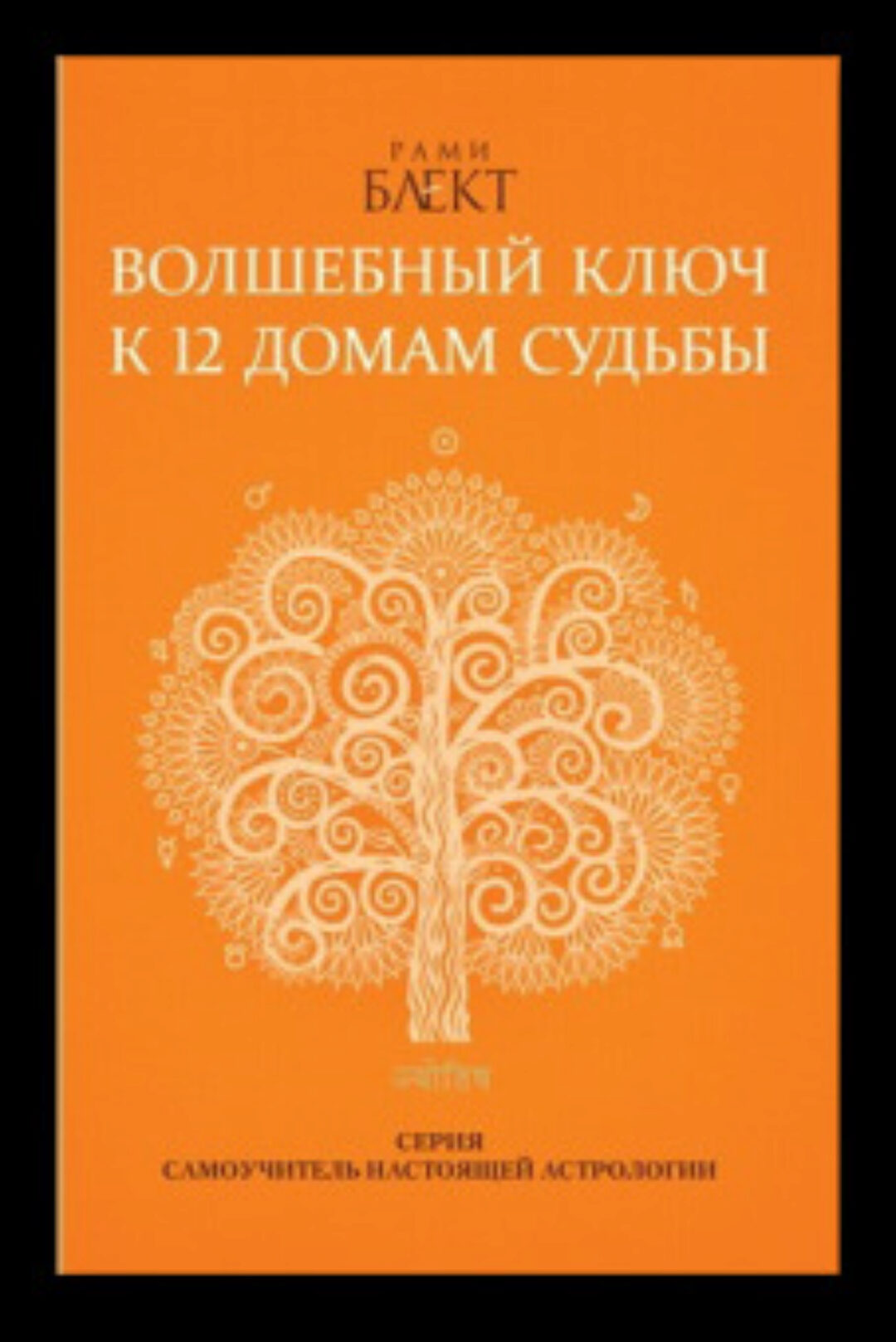 Волшебный ключ к 12 домам судьбы (Рами Блект)