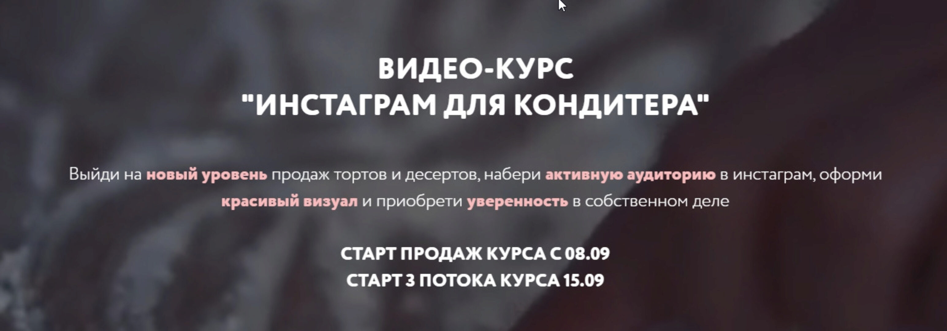 Инстаграм для кондитера. Тариф Базовый. 3 поток. Сентябрь 2020 (Вика Белкина)