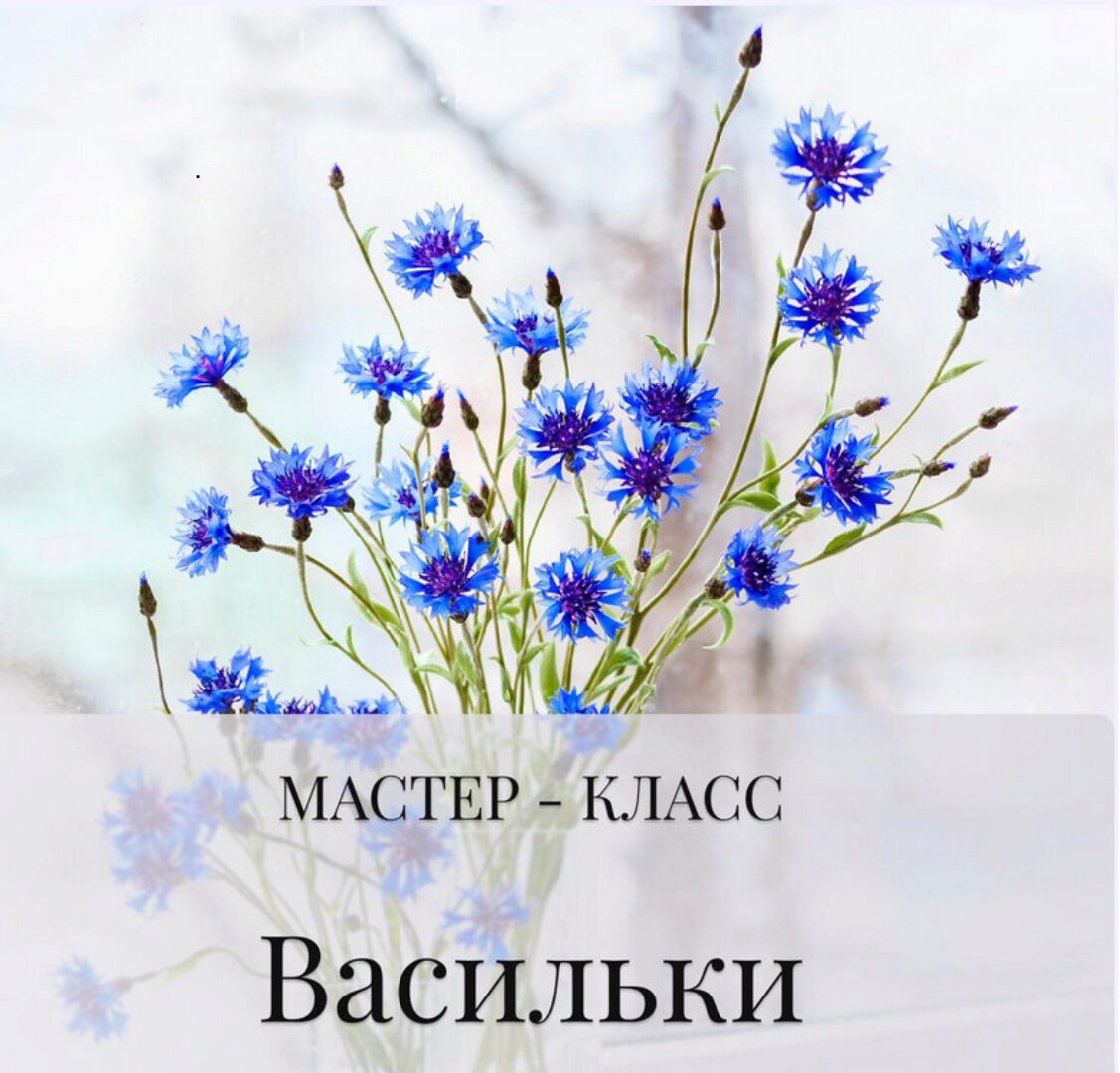 Васильки (Дина Косточка)