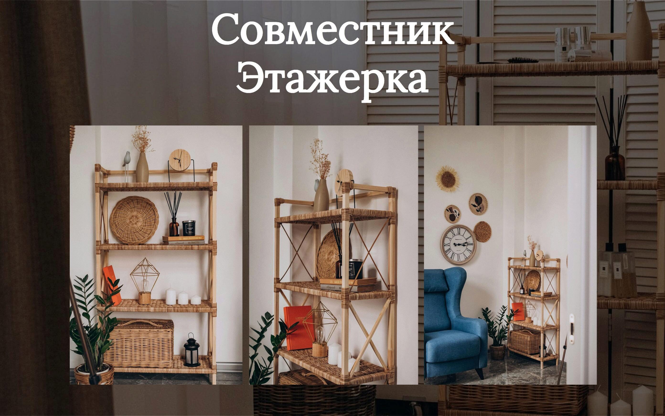 Совместник Этажерка (Ольга Оболенская)