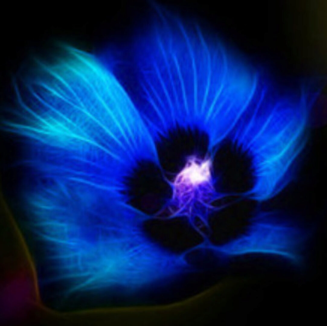 [BrainWave] Избавление от лишнего веса