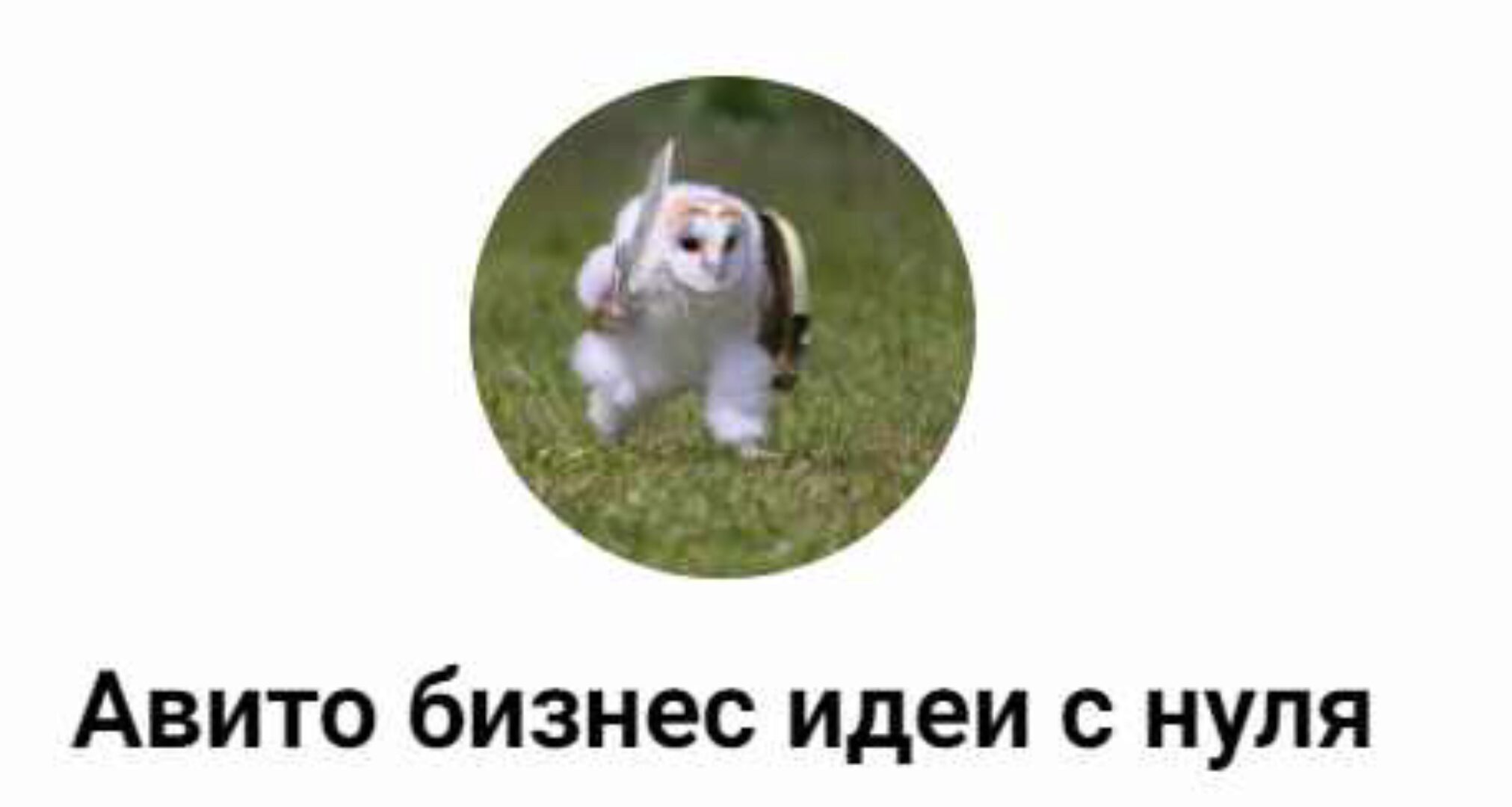 [Авито бизнес идеи с нуля] Обучение по авито и профессии авитолог