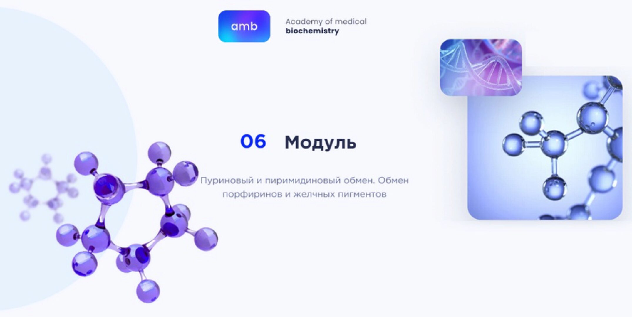 [amb] Основы биохимии. 6 модуль. Пуриновый и пиримидиновый обмен. Обмен порфиринов и желчных пигментов (Елизавета Радевич)