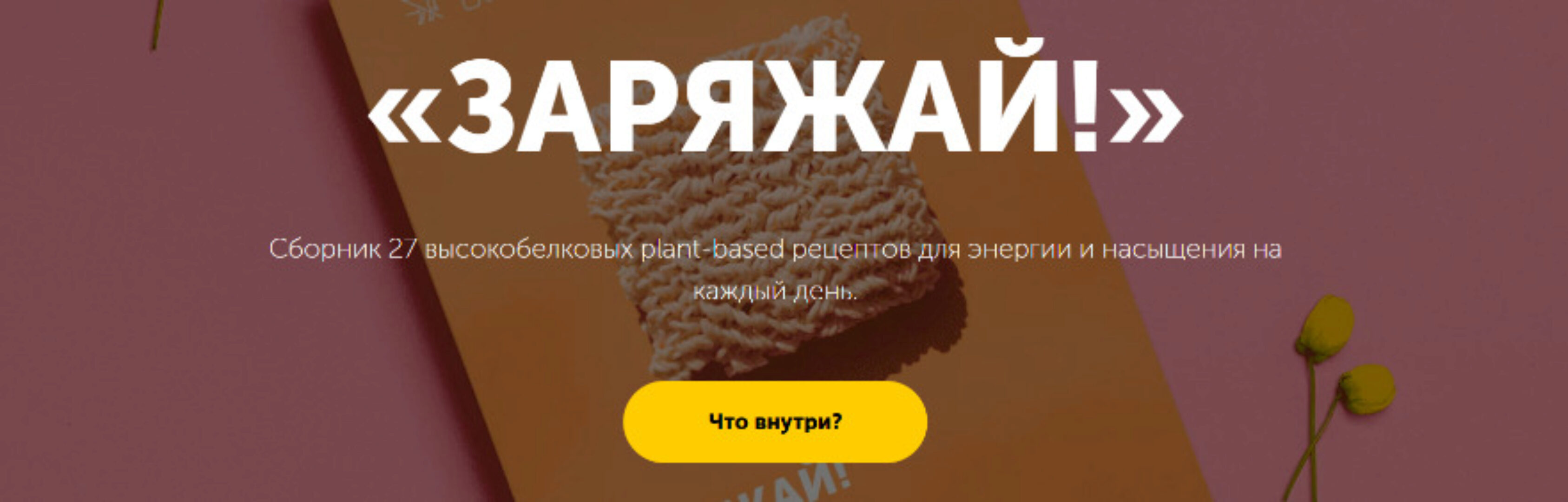 Заряжай! (Настя Лисица)