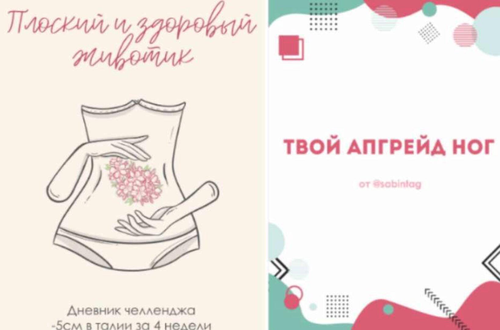 Дневник Плоский и здоровый животик + Гайд Твой апгрейд ног (Сабина Филина)