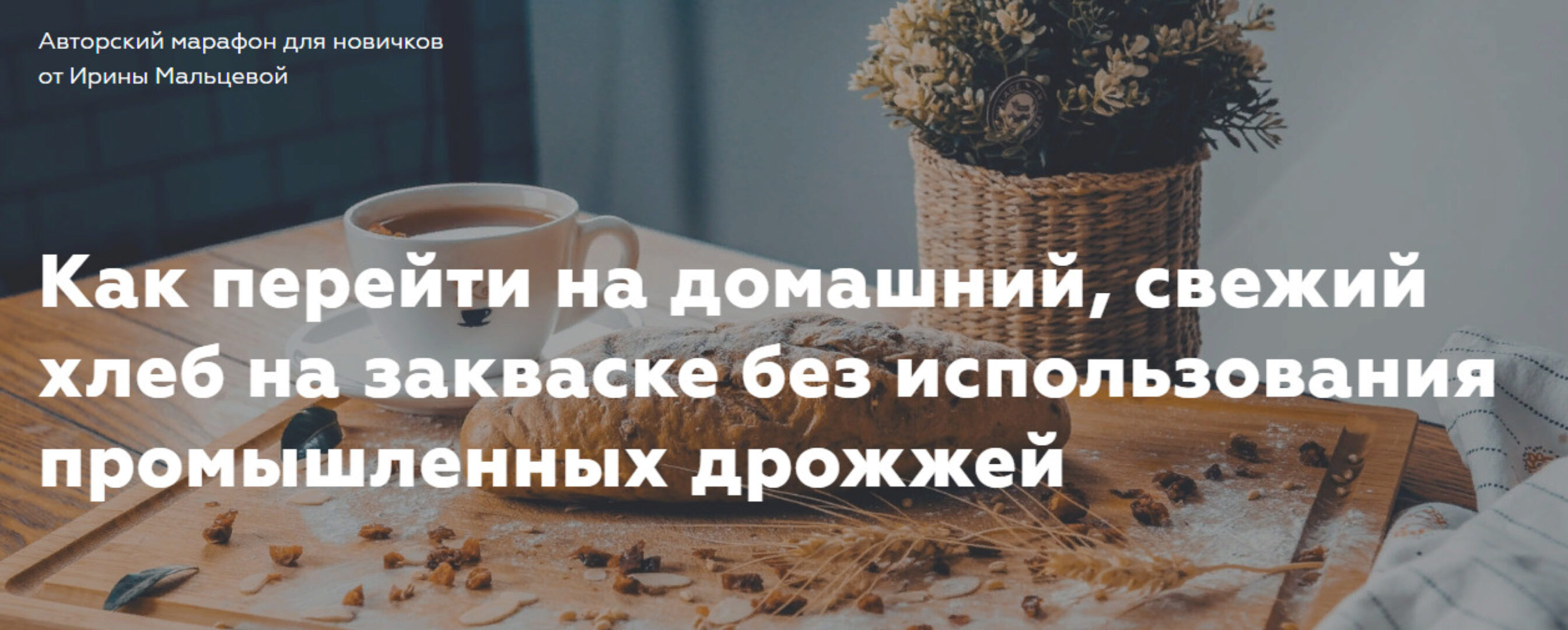 Ржаная закваска для здорового хлеба (Ирина Мальцева)