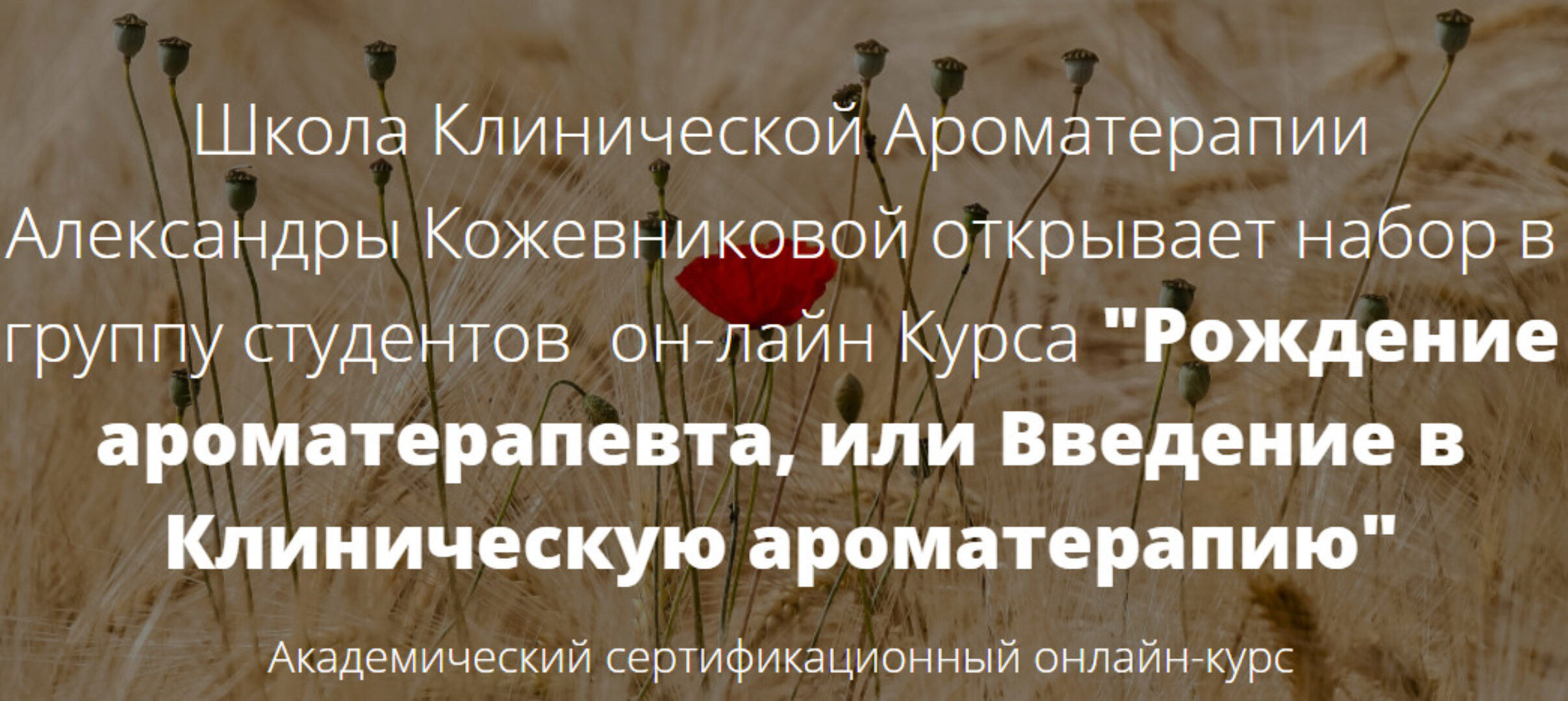 Рождение ароматерапевта или введение в Клиническую ароматерапию (Александра Кожевникова)