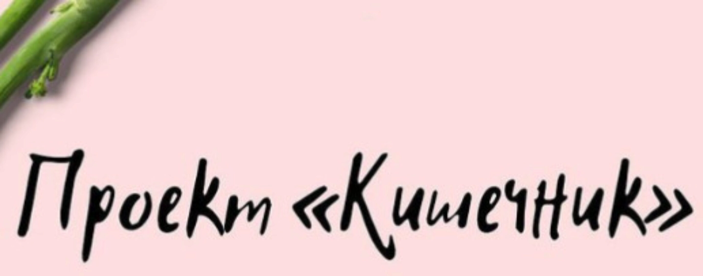 Кишечник (Виктория Орлинская)